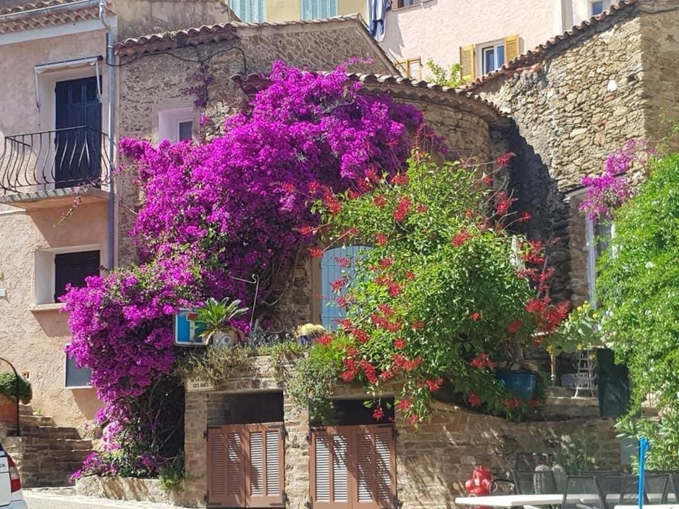 Maison De Vacances Medievale Bormes-Les-Mimosas Village Экстерьер фото