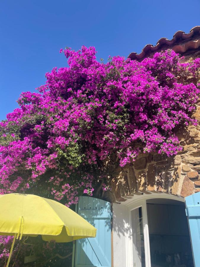 Maison De Vacances Medievale Bormes-Les-Mimosas Village Экстерьер фото