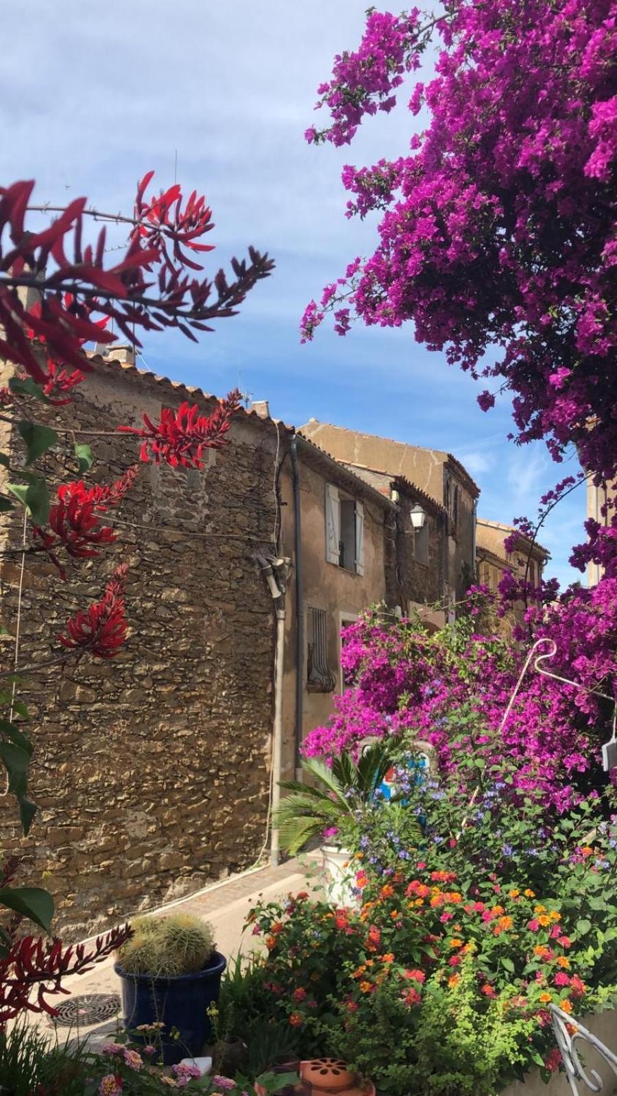 Maison De Vacances Medievale Bormes-Les-Mimosas Village Экстерьер фото